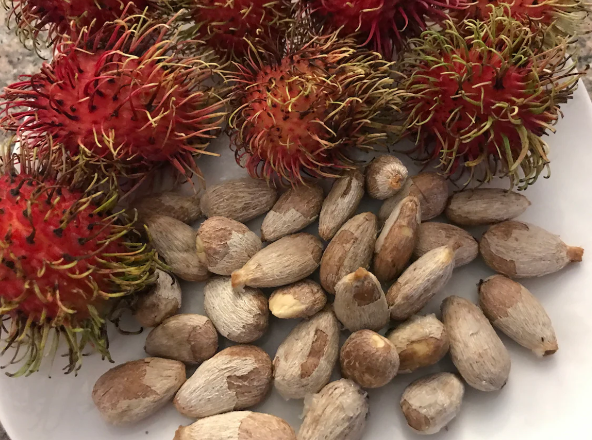 Rambutan