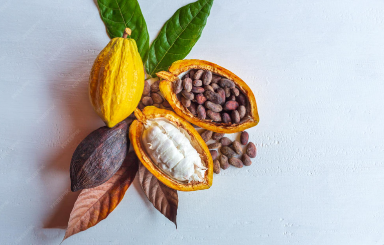 Cacao