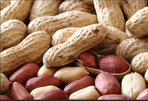 Peanut