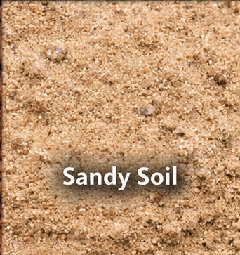 Sandy Soil
